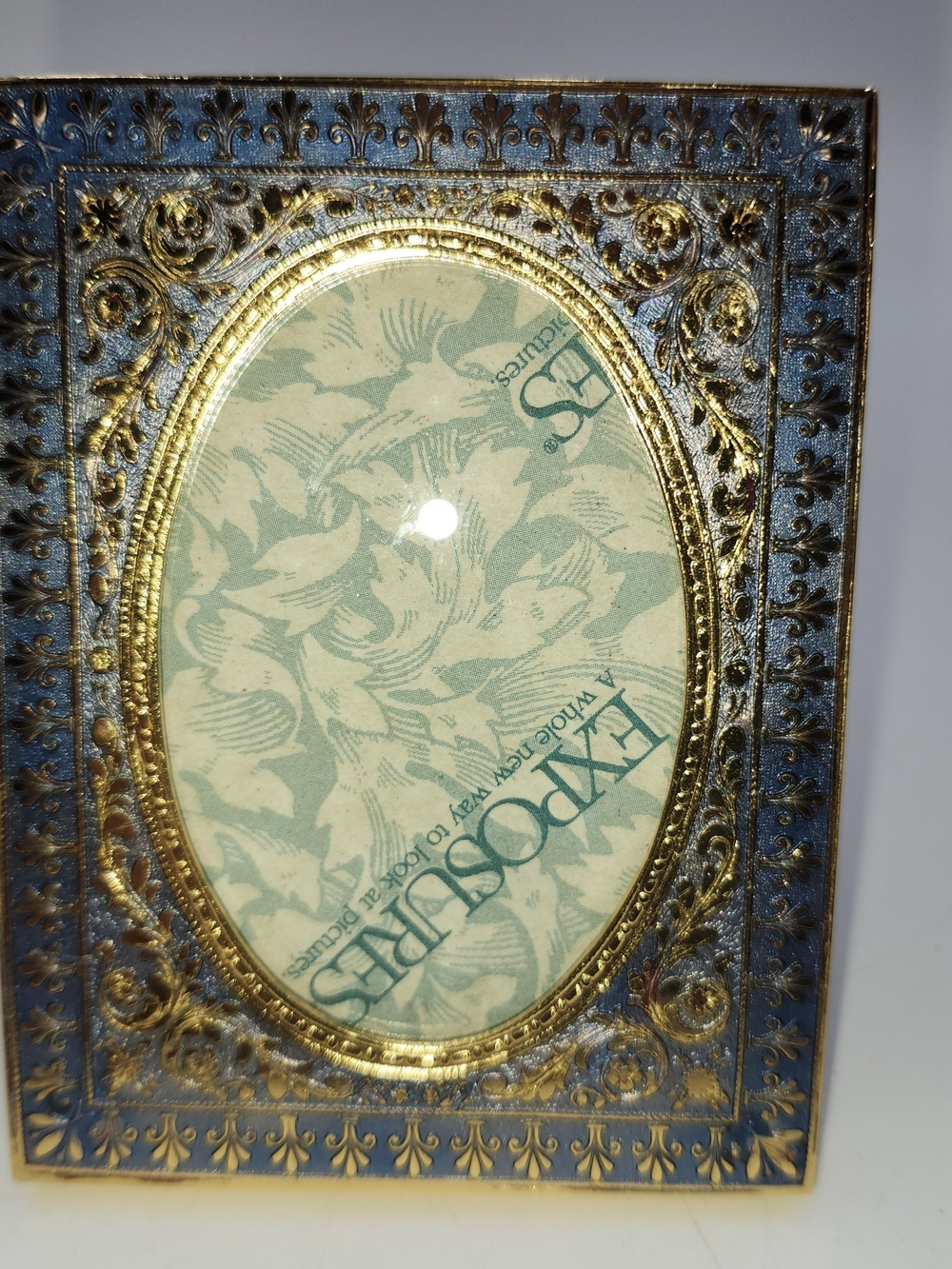 Expressions Gold & Blue Ornate Oval Picture Frame - Home Accents